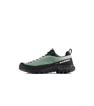 Обувки Mammut Alnasca IV Low GTX Men