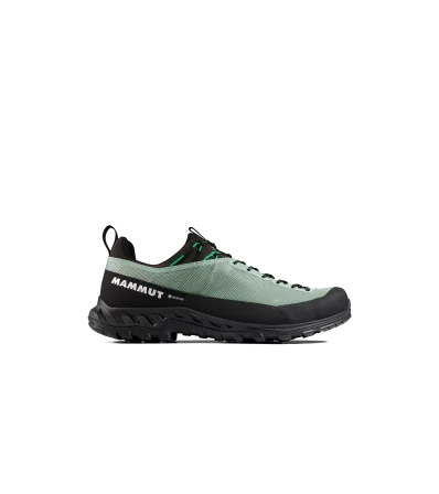 Обувки Mammut Alnasca IV Low GTX Men