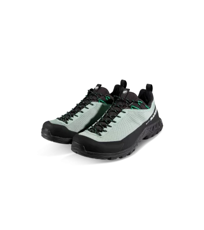 Обувки Mammut Alnasca IV Low GTX Men