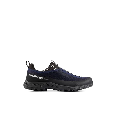 Обувки Mammut Alnasca IV Low GTX Men