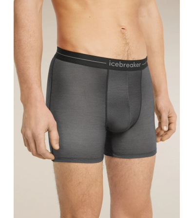 Icebreaker Merino 150 Anatomica Boxers Transitions