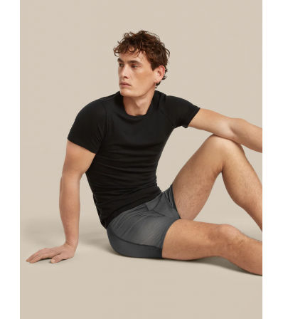 Icebreaker Merino 150 Anatomica Boxers Transitions