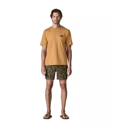 Patagonia Hydropeak Volley Shorts 16