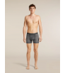 Icebreaker Merino 150 Anatomica Boxers Transitions