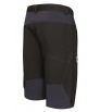 Direct Alpine Fremont Shorts 1.0 M's